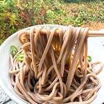 池内うどん店 - 