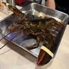 貝と海老そして蟹 - 