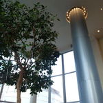 エスタシオン カフェ - 天井が高く開放感に溢れる空間