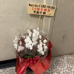 マジックバー カードシャーク - 