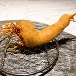 串揚げ 百樹璃座 - ニューカレドニアの天使ちゃん