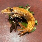 西麻布 香宮 - 天使の海老の強火揚げ　スパイシーソルト風味