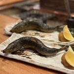 炉端×寿司 裏福島 Hana/Robata×Sushi Hana Osaka - 