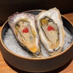 CENSU - CENSU TOKYO(牡蠣)