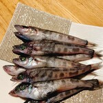 居酒屋 潮 酒と飯処 - 