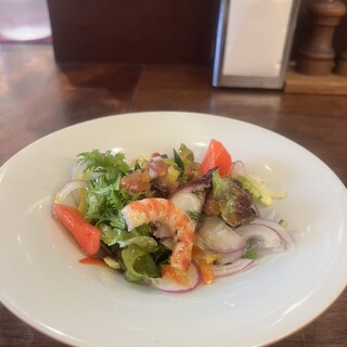 トラットリア パッパ_0