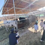 TOKYO FARM VILLAGE FARM BASEL - 