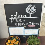 生パスタのお店 collina - 