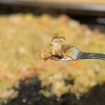 月島もんじゃ こぼれや 二番街 - 