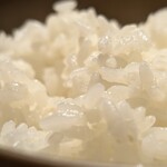 近江牛ホルモン いるもん - ご飯も美味しいんだ   つやつや