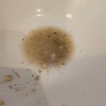 中華そば 葉山 - 