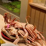 道人 - 柴山港より