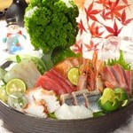 코테마리