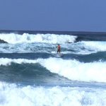 Kahuku Land Farms Stand  - サンセットビーチ