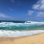 Kahuku Land Farms Stand  - サンセットビーチ