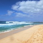 Kahuku Land Farms Stand  - サンセットビーチ