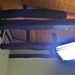 つきのほたる - 