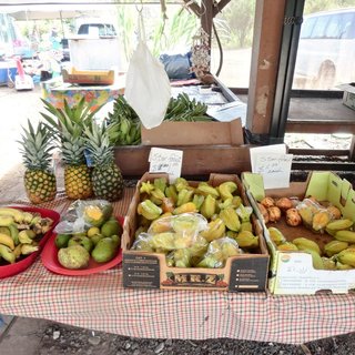 Kahuku Land Farms Stand _1