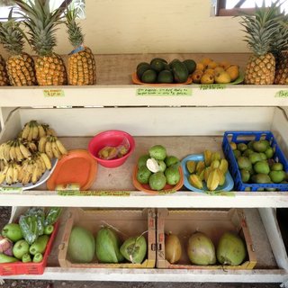 Kahuku Land Farms Stand _2