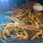 越前がに やまに水産 - 