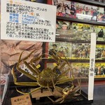 越前がに やまに水産 - 