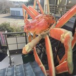 越前がに やまに水産 - 