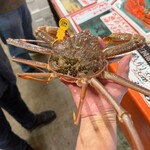 越前がに やまに水産 - 