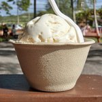 SCOOP of PARADISE - マカデミアナッツアイス
