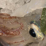 呼子活イカ さかなや道場 - 