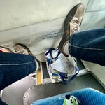 かめや - バス旅最高〜