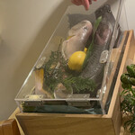 アッピア - メイン選び