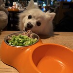 DDSK サイゴン キッチン - 