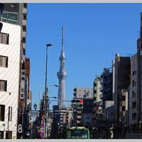 入谷鬼子母神門前のだや - 