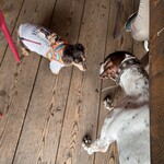 フクムラ山の家 - 