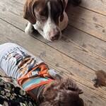 フクムラ山の家 - 