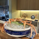 日々魚数寄 東木 - 