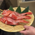 炉ノ鳥 - 