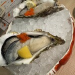 渋谷 きときと - 