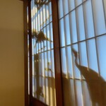 大衆焼肉 だるまや - 