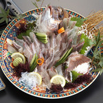 いけす創作 千彩