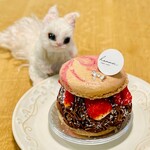 hannoc - 見てるだけで楽しい、美しい作品