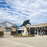 オーシャンブルー - 沖縄美ら海水族館