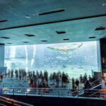 オーシャンブルー - 黒潮の海