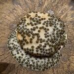 レミニセンス - 