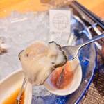 四ツ橋・新町 牡蠣と肉たらしビストロAKIRA - 右側の牡蠣も美味しい╰(*´︶`*)╯