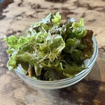 ビストロサイクル - サラダ