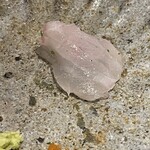 馳走 啐啄一十  - 