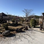 たいやき むらさきや - 庭？