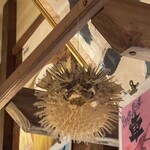 ひとし - ハリセンボン