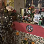 フォンダ・デ・ラ・マドゥルガーダ - 